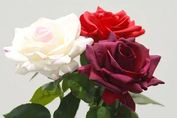 Real Touch Roses with Latex Petals for Premium Arrangements